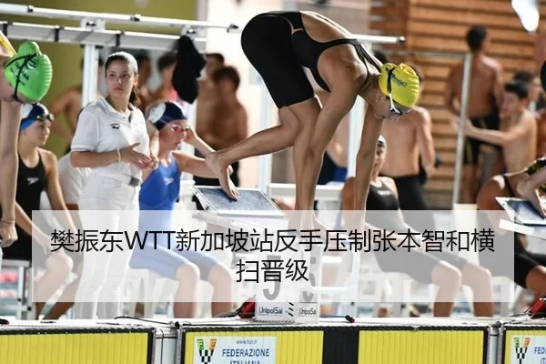 樊振东WTT新加坡站反手压制张本智和横扫晋级