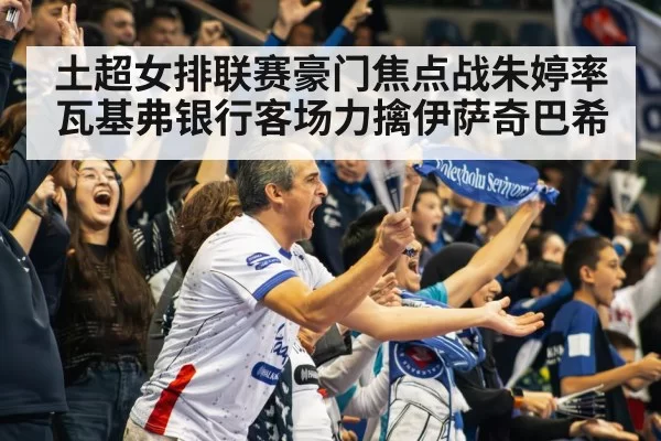 volleyball stadium crowd