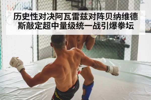 历史性对决阿瓦雷兹对阵贝纳维德斯敲定超中量级统一战引爆拳坛